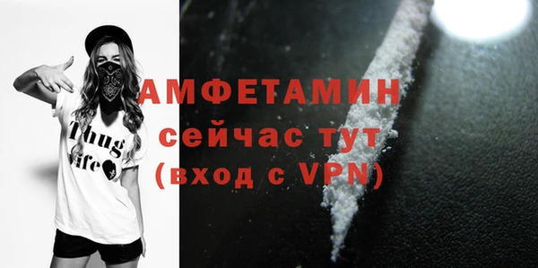 мет Инсар