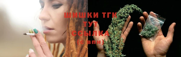 тгк Иннополис