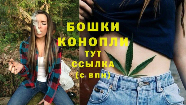 мет Инсар