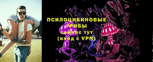 мет Инсар